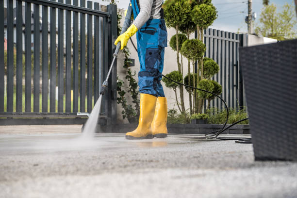 Animal Enclosure Cleaning in Mathis, TX