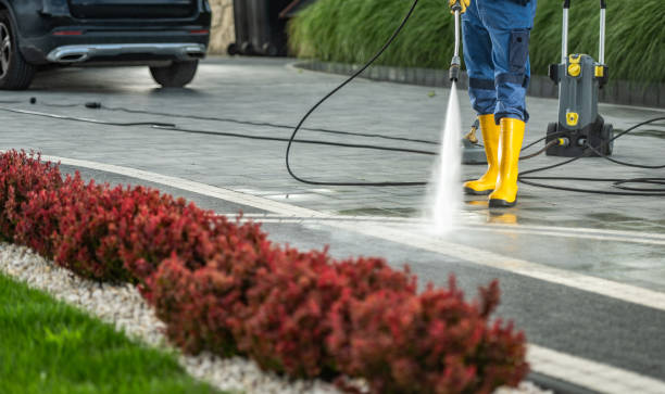 Best Driveway Pressure Washing  in Mathis, TX